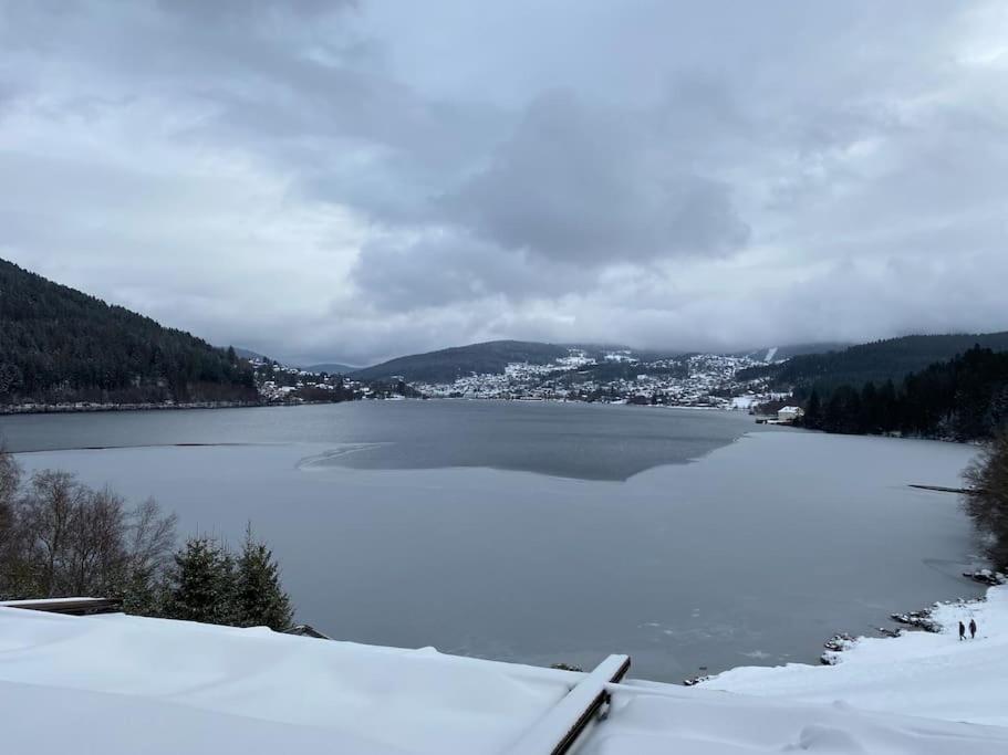 Studio Cosy Ambiance Vosgienne A 20 Mn De Gerardmer Lepanges-sur-Vologne Luaran gambar