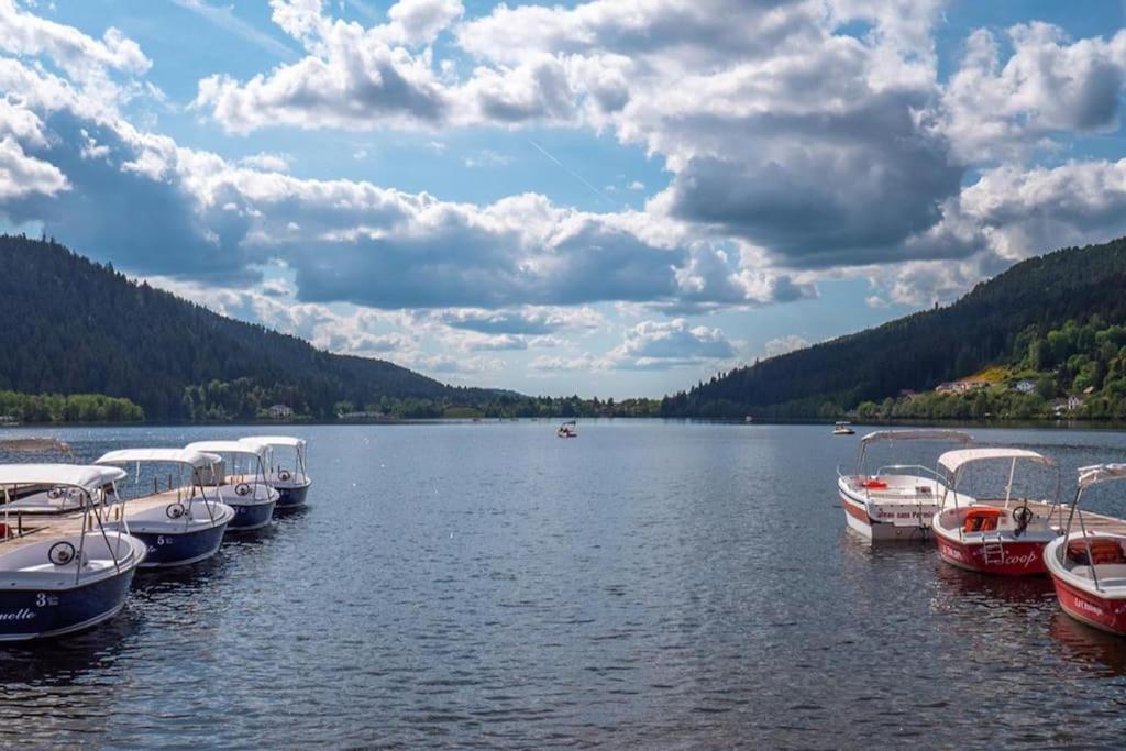 Studio Cosy Ambiance Vosgienne A 20 Mn De Gerardmer Lepanges-sur-Vologne Luaran gambar