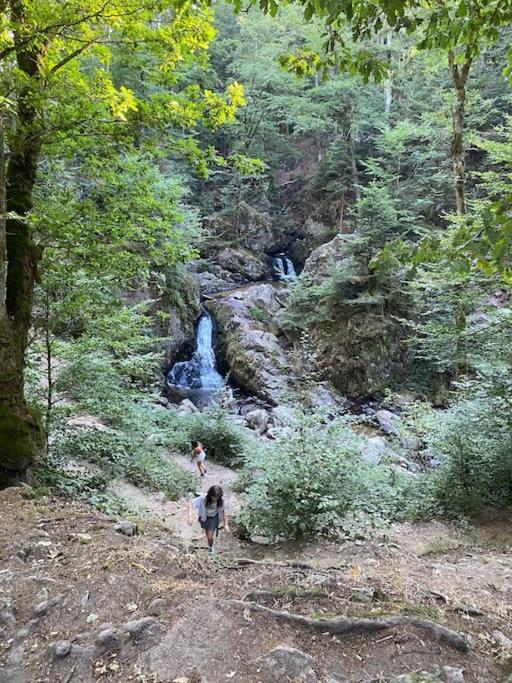 Studio Cosy Ambiance Vosgienne A 20 Mn De Gerardmer Lepanges-sur-Vologne Luaran gambar