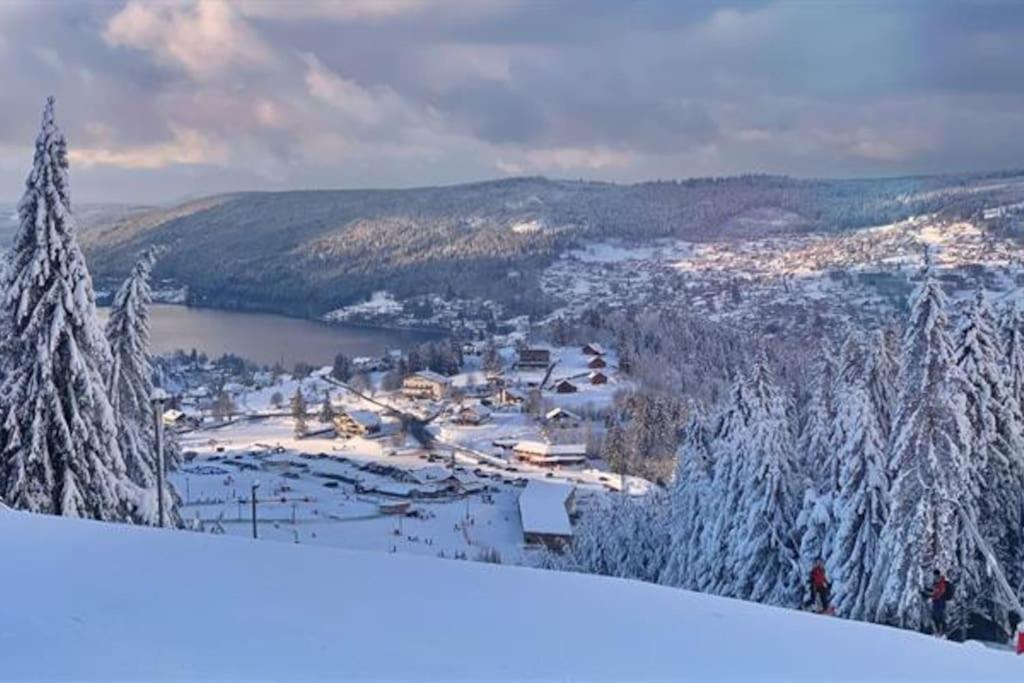 Studio Cosy Ambiance Vosgienne A 20 Mn De Gerardmer Lepanges-sur-Vologne Luaran gambar
